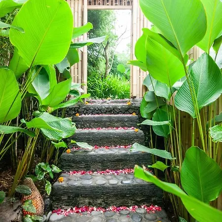 Balikayanas Bamboo House - Miggiell House Villa Karangasem  Exterior photo