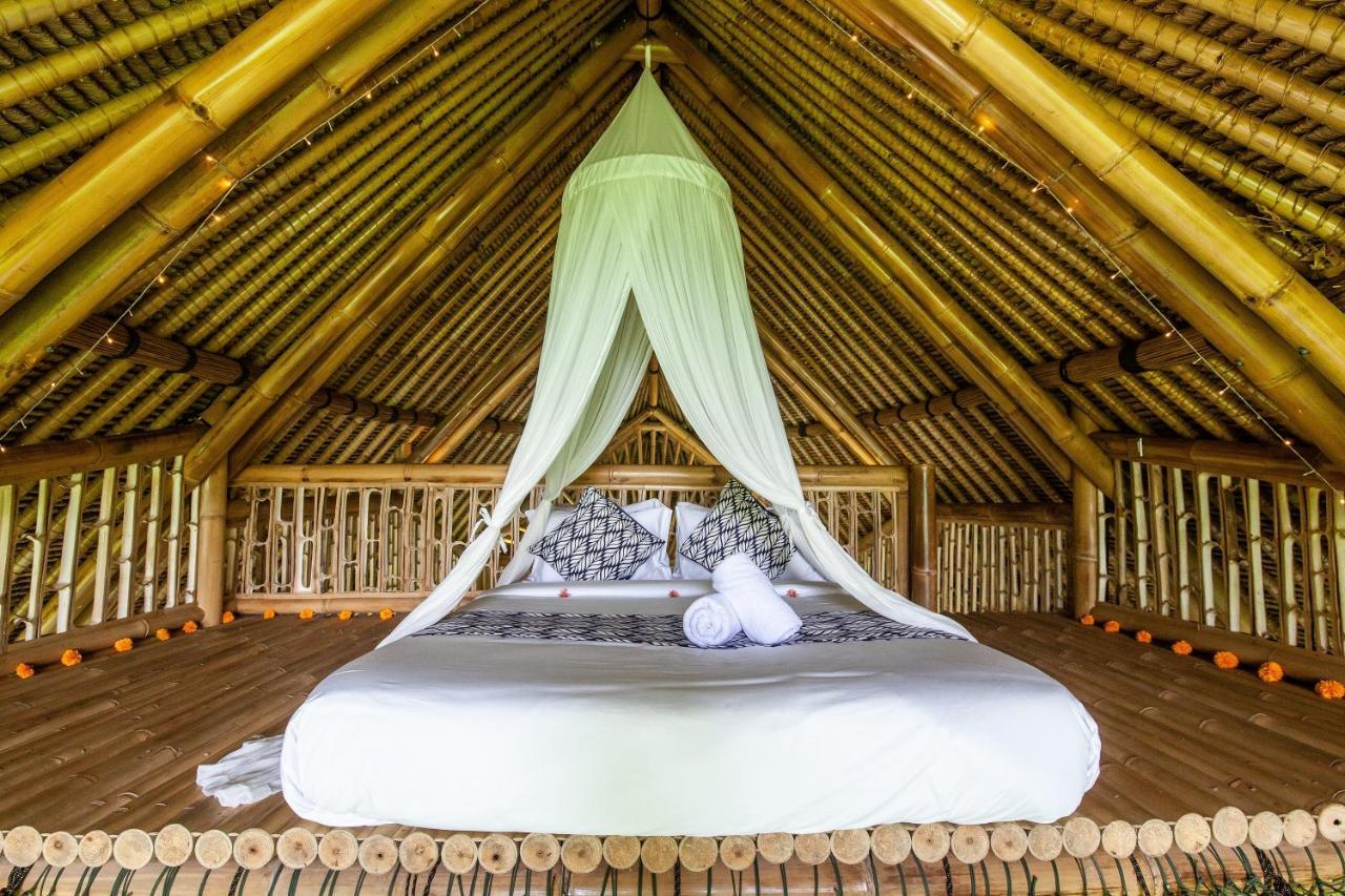 Balikayanas Bamboo House - Miggiell House Villa *