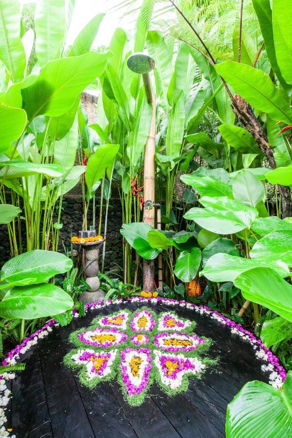 Balikayanas Bamboo House - Miggiell House Villa *