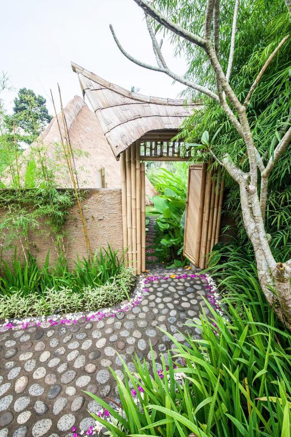 Balikayanas Bamboo House - Miggiell House *