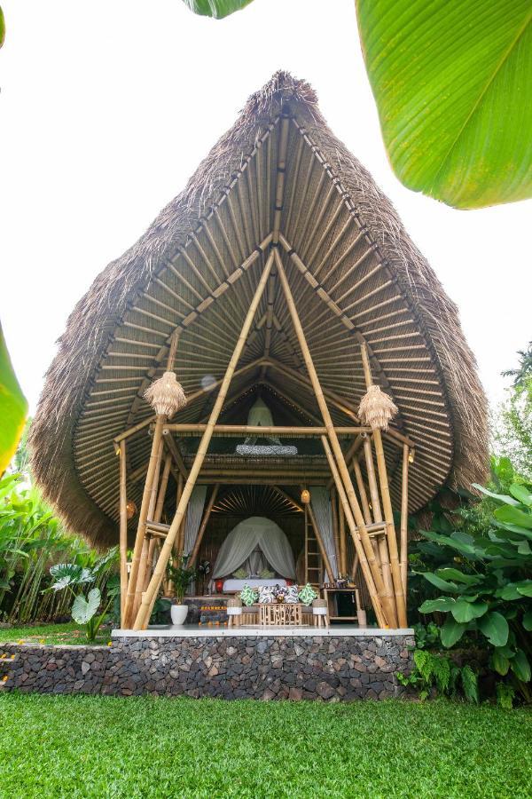 Balikayanas Bamboo House - Miggiell House Villa