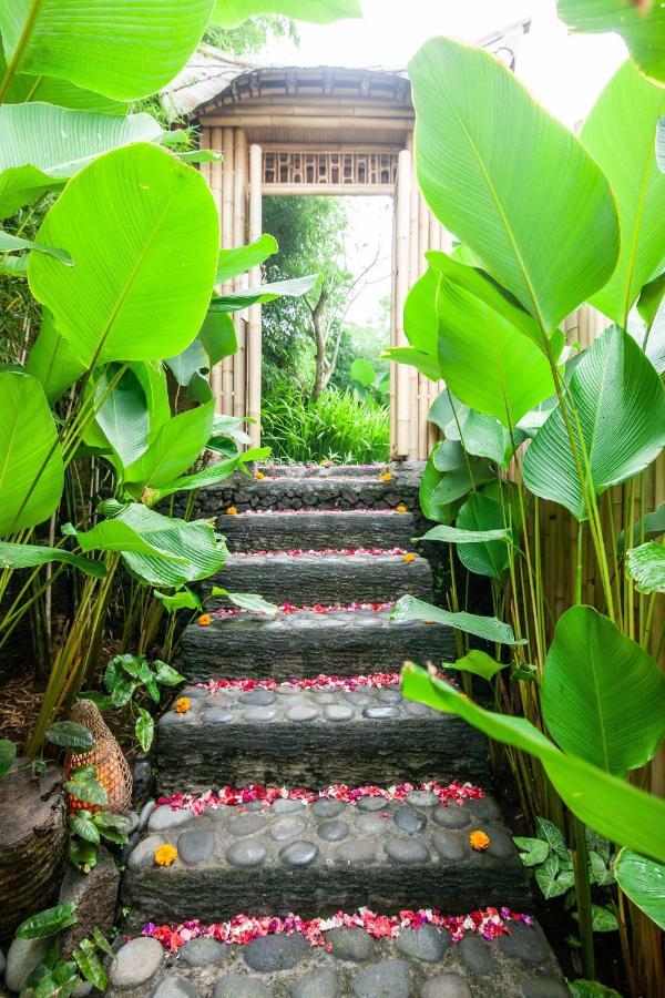 Balikayanas Bamboo House - Miggiell House Karangasem (Bali)